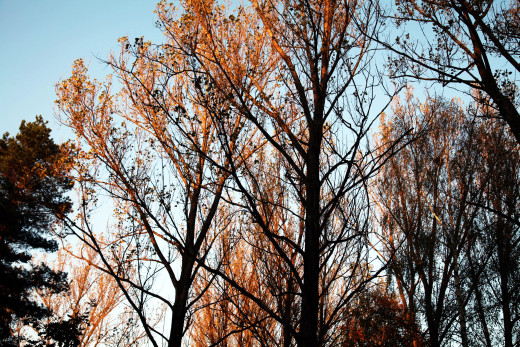 1456923 (a): :2560x1706
